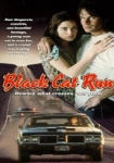 Black Cat Run