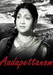 Aadapettanam