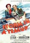 Storm In A Teacup