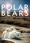 Polar Bears: A Summer Odyssey