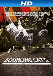 Bouncing Cats